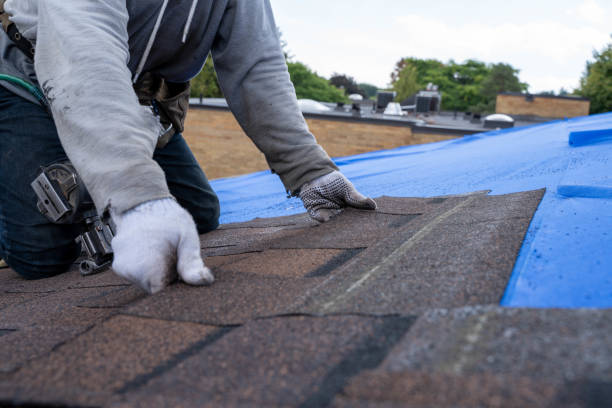 Trusted Paw Paw Lake, MI  Roofing repair and installation Experts