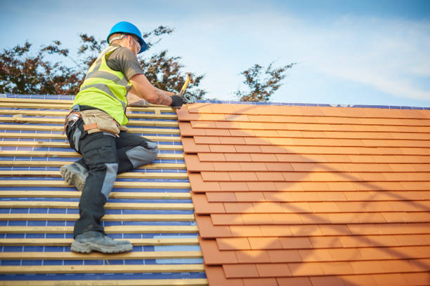 Best Roof Insulation Installation  in Paw Paw Lake, MI
